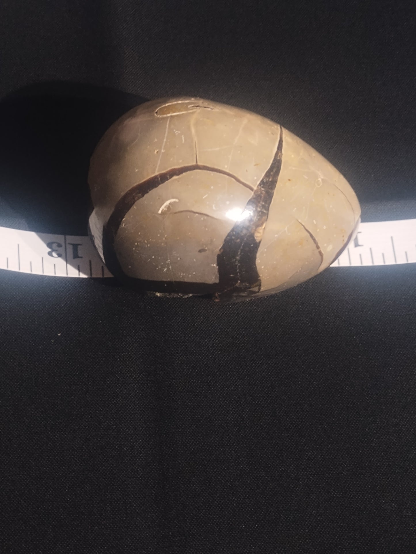 Small Black Septarian Egg
