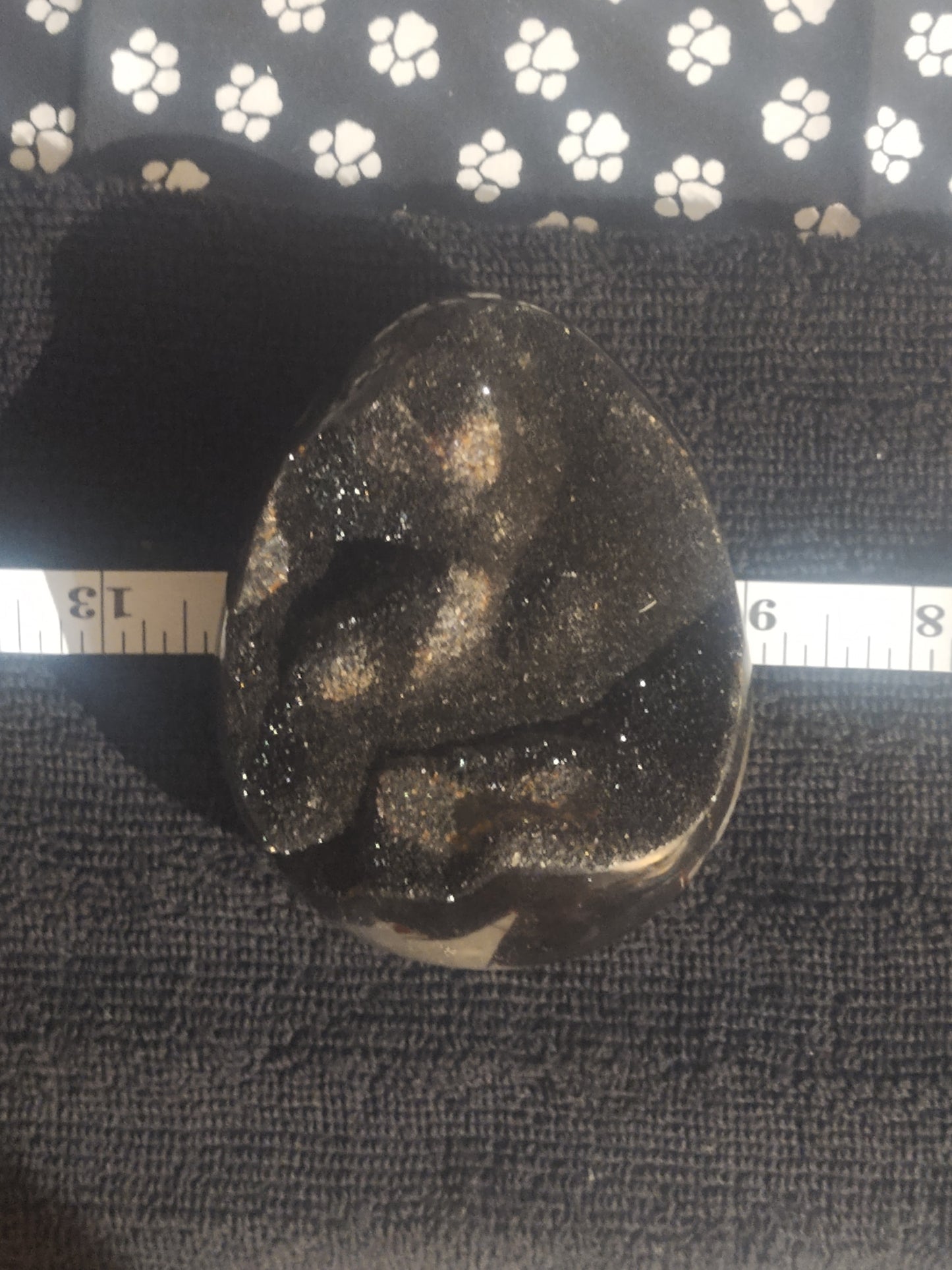 Striking Black Septarian Egg