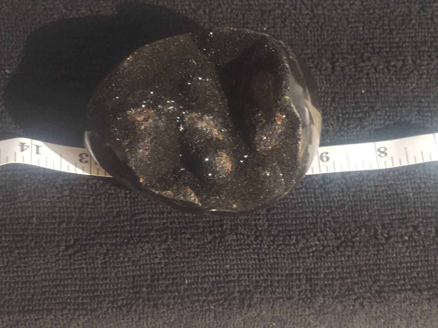 Striking Black Septarian Egg