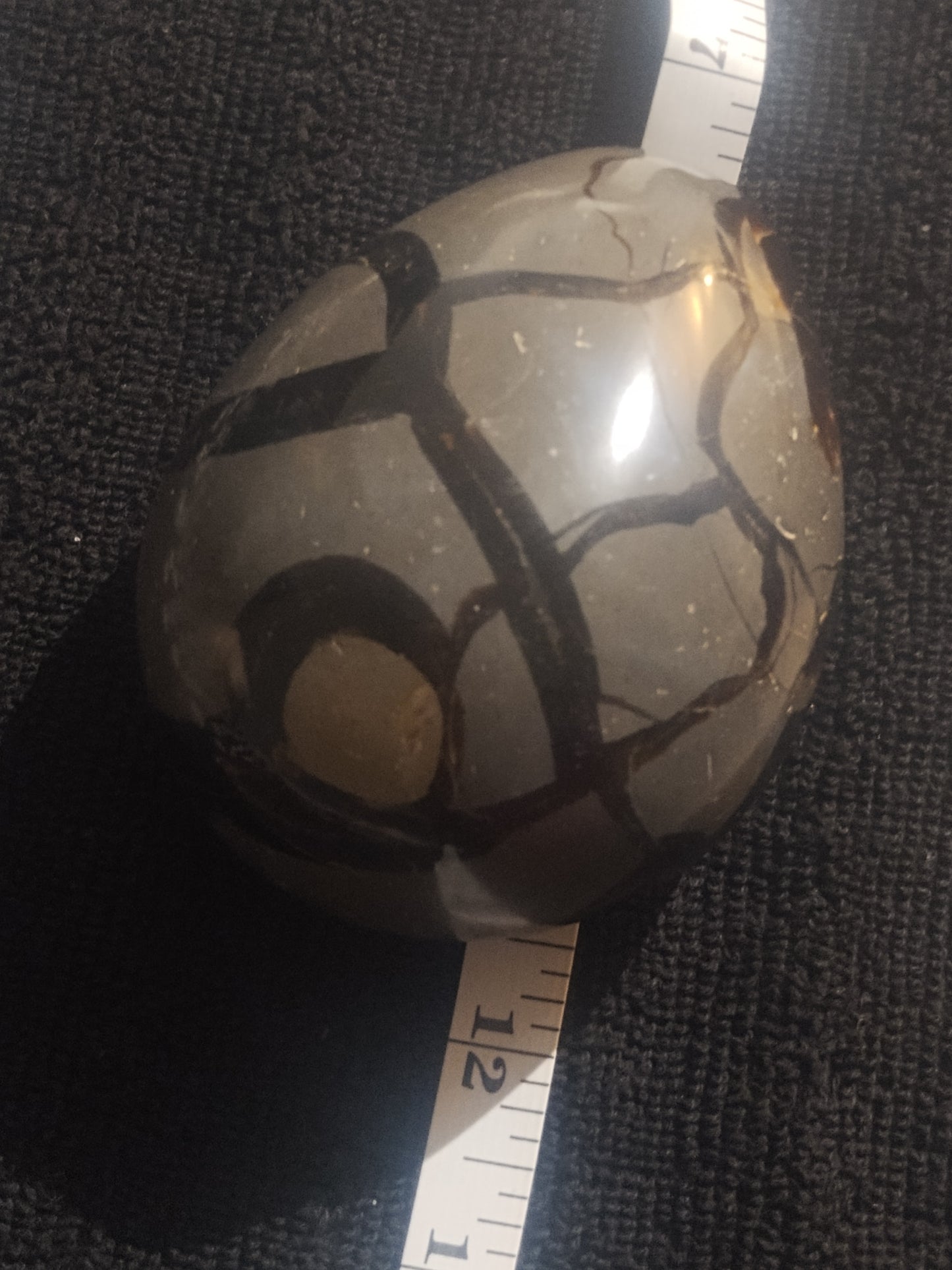 Striking Black Septarian Egg