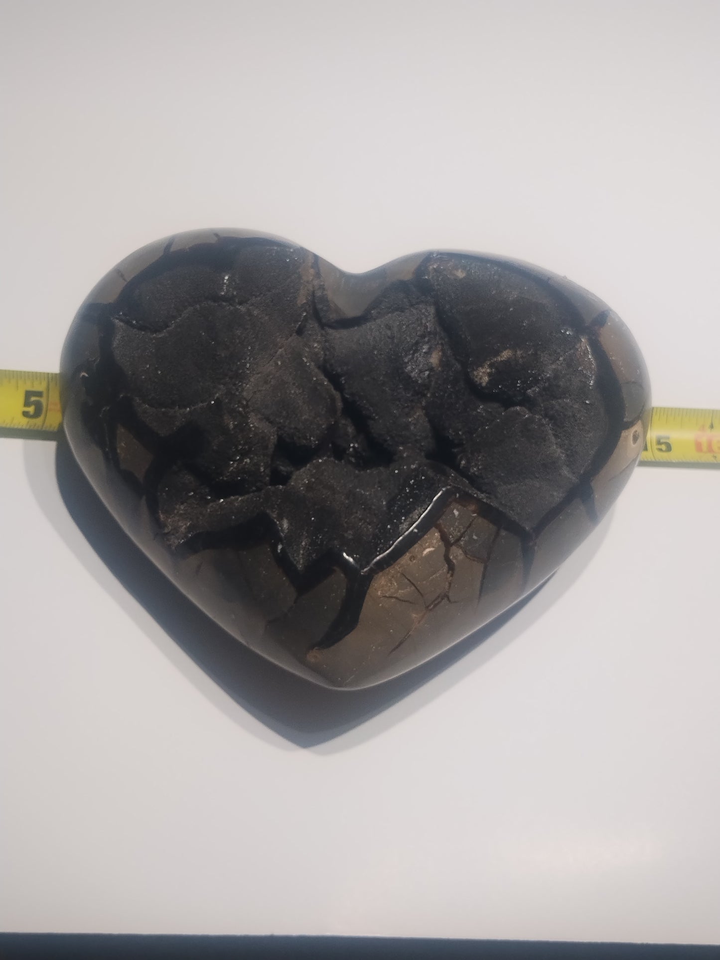 Striking 9.5 pound Black Septarian Heart