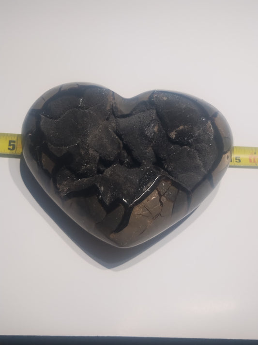 Striking 9.5 pound Black Septarian Heart