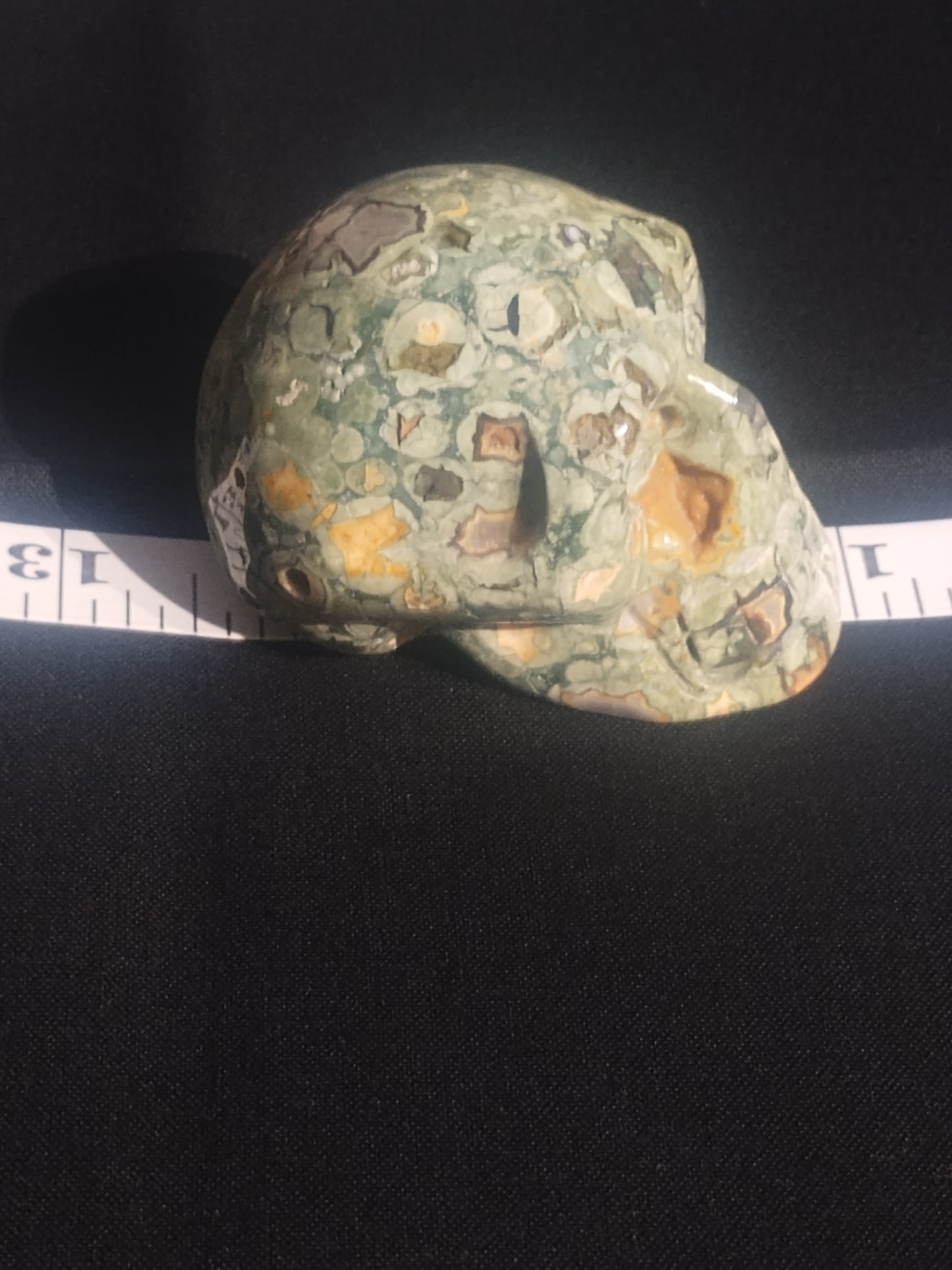 Rainforest Jasper Skull