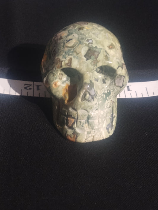 Rainforest Jasper Skull