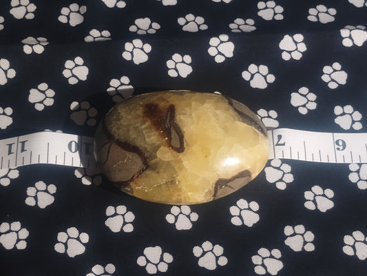 Septarian Palm Stone-"THE DRAGON STONE"