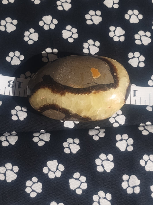 Septarian Palm Stone-"THE DRAGON STONE"