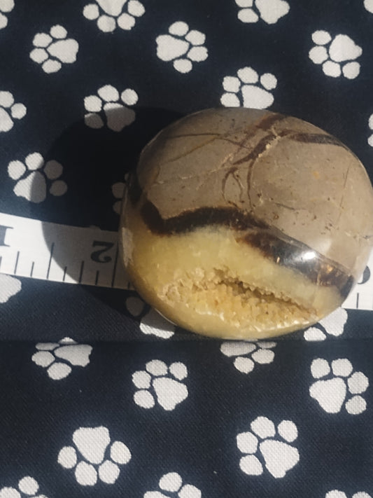 Septarian Palm Stone-"THE DRAGON STONE"