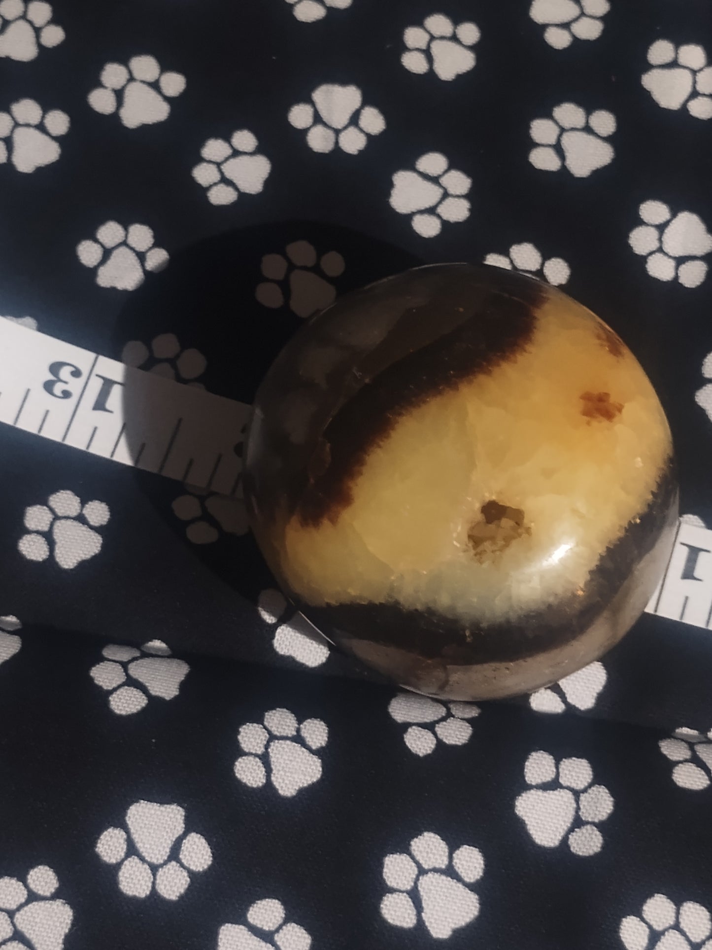 Septarian Palm Stone-"THE DRAGON STONE"