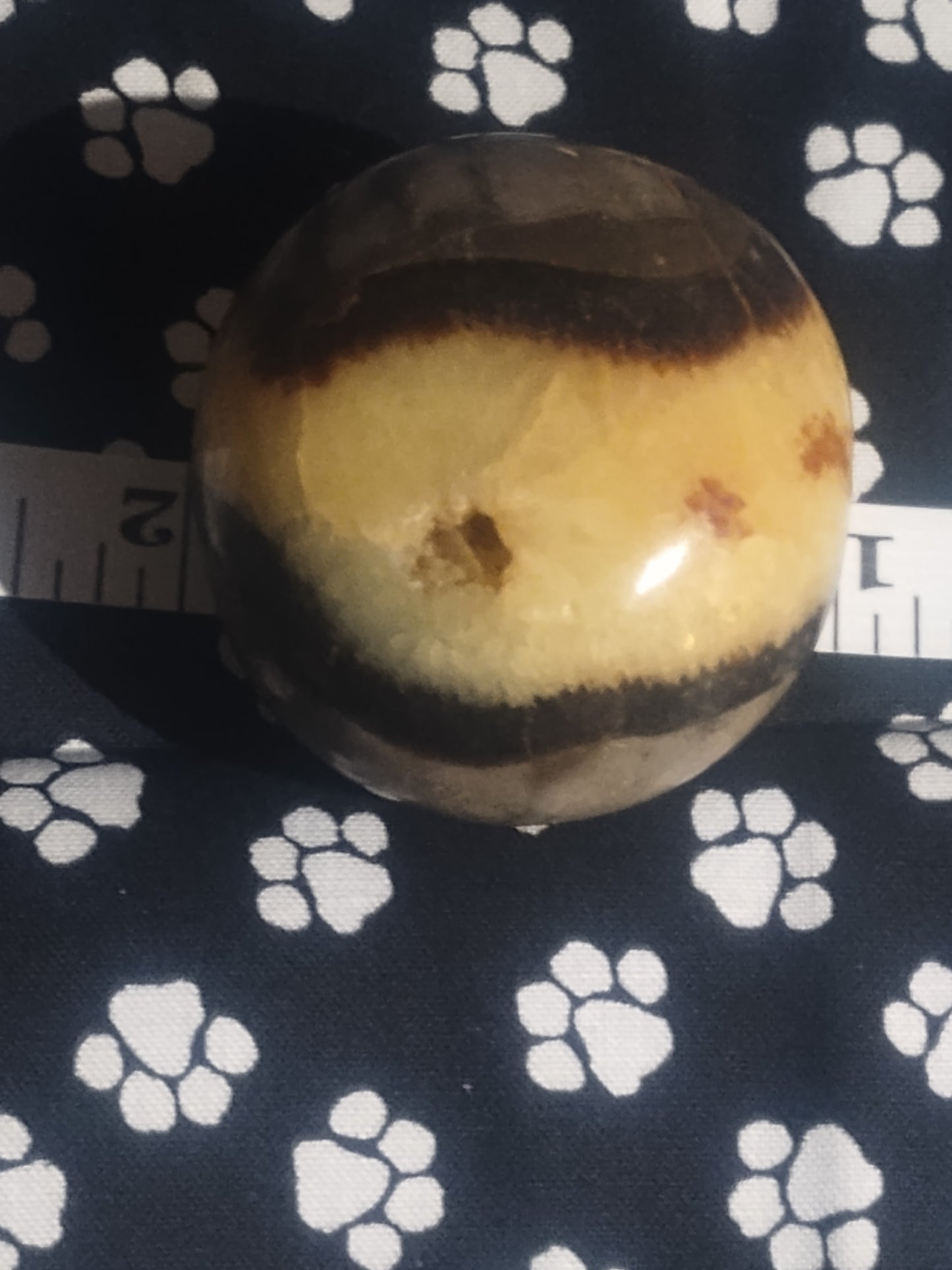 Septarian Palm Stone-"THE DRAGON STONE"